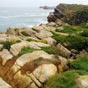 Flore des falaises dans le Parc Naturel des Dunes Liencres 