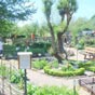 Cardaillac: Le jardin mdival vous raconte la petite histoires des plantes mdicinales et tinctoriales...