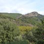 Dieu que la nature est belle sur ce chemin!