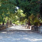 Arles : belle et mouvante promenade dans l'alle des Alyscamps, borde d'arbres et de tombeaux. Les Alyscamps signifient Champs lyses en provenal, cit des morts vertueux dans la mythologie grecque. 