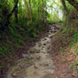 Le chemin est rude...surtout quand il pleut abondamment, on a alors l'impression de marcher contre un torrent...