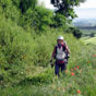 Qu'il est agrable de cheminer sur un sentier herbeux.