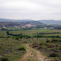 Avant d'atteindre la cit de Carcassonne le parcours nous fait traverser des vignobles et cotoyer le causse dsert de la montagne d'Alaric...Remarquons d'ailleurs que, quelle que soit la voie choisie, le plerin allant  Compostelle rencontre invitablement sur son chemin, la vigne et le bl.