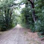...et le chemin fort plaisant !