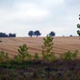 Un paysage et des champs 