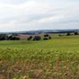 Nous avons quitt la chapelle de Cahuzac depuis un peu plus d'une heure...les tournesols baissent la tte et nous rappellent  l'humilit ! Nous avons encore quelques efforts  faire pour arriver pour atteindre l'Isle-Arn...