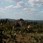 Au pays de l'Armagnac,  4,5 kilomtres de Condom, Larressingle dresse ses remparts au milieu des vignes. Regroupes autour du chteau et de son glise  deux nefs, les maisons  pierre dore y ont conserv fentres  meneaux et portes arques. 