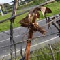 Des plerins ont marqu leur passage en laissant des croix accroches au grillage qui spare le chemin de la route....