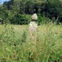 Prs de Moulis on peut voir dans un pr (quand le mas n'est pas trop haut) une sorte de tour carre btie en petit appareil. Il en existe une autre comparable dans la rgion. Ces piles bordaient une voie romaine.