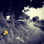 Une photo trouve sur la toile et pour laquelle nous avons eu un coup de coeur.... Pris sur le parcours entre Navarrete et Najera