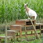 A un peu plus d'une heure aprs le dpart  de Maubourguet, elle nous attendait et tenait absolument  entrer en contact...