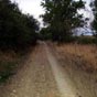 Le chemin juste aprs avoir quitt Molinaseca...