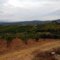 Le chemin aprs Cacabelos