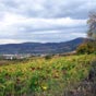 On approche Villafranca...