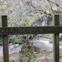 1,3 km aprs le Moulin de Tournefeuille nous atteignons celui de la Mouline... 