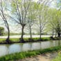 Le canal de la Robine au printemps