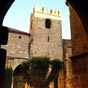 Petit jardin du clotre de la cathdrale Saint Just