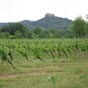 Une rgion o le vignoble est roi!