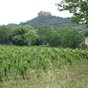 La culture de la vigne est ici une activit essentielle, vitale et de fait, omniprsente.