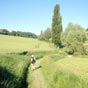 Une superbe nature  la sortie de Lectoure...