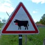 A priori les plerins ne sont pas seuls!