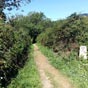 Chemin faisant entre Oviedo et Grado...
