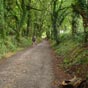 Le chemin entreEirexe et Palas de Rei