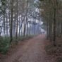 Les premiers kilomtres peuvent tre accompagns par un lger brouillard....peut tre un prmice  une belle journe ensoleille!