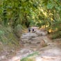 Entre Portomarin et Palas de Rei, le chemin est trs diffrent d'un tronon  un autre...