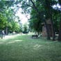 Saulx-les-Chartreux: Le parc du Centre-Ville.