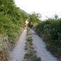 Le parcours est agrable....