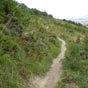 Le sentier chemine  flanc de colline....