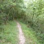 Le chemin entre Guerendiain et Tiebas.