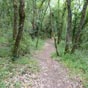 Un chemin rafraichissant...