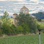 La chapelle d'Eunate apparat dissimule par les arbres !