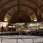 Le muse jurassique montre l'volution de la vie sur terre depuis le dbut jusqu' l'arrive de l'homme, en mettant l'accent sur le Msozoque ou l'Ere des Dinosaures dans les trois priodes: Triasique, Jurassique et Crtac. 