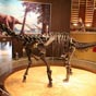 Colunga: Le muse jurassique se trouve dans un btiment spectaculaire en forme d'empreinte de dinosaure et offrant un panorama magnifique sur le port et les plages.
