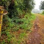 En bonne direction vers le chemin real....