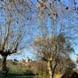 Montfaucon: Le plan d'eau prs de la source du Cou