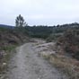Le chemin entre Valoriz et Vilamor de Arriba