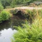 Ferreira: Petit pont romain form d'une seule arche dcouvert 7,4 km aprs notre dpart de San Roman da Retorta...Cet ouvrage atteste le passage de la voie romaine il y a 2000 ans!