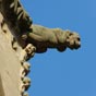 Eglise Santa-Maria-la-Real : gargouille