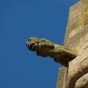 Eglise Santa-Maria-la-Real : gargouille