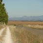 Sur le chemin de Sahagun  Mansilla de las Mulas