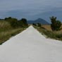 Nous empruntons un chemin 