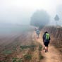 Un brouillard persistant prmice  une belle journe ensoleille?