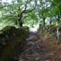 Le chemin avant Moimentos