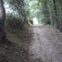 Le Chemin de Saint Jacques vers Saint Lizier.