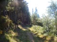 Un chemin qui invite  la srnit!