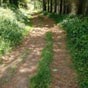 De jolis tronons paisibles ponctuent notre chemin...